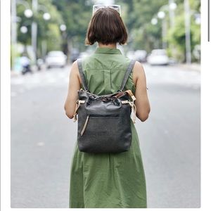 NWT Sherpäni Ethos Citizen bag/backpack